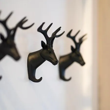 Ferienapartment Finke